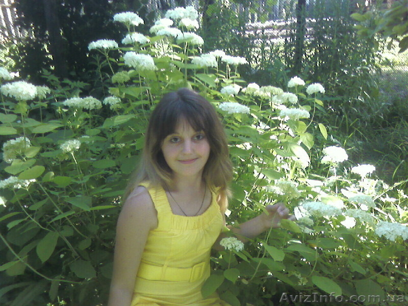 Обьявление для дизайнеров - <ro>Изображение</ro><ru>Изображение</ru> #6, <ru>Объявление</ru> #464114