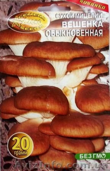 мицелий грибов вешенки порошковый - <ro>Изображение</ro><ru>Изображение</ru> #2, <ru>Объявление</ru> #301875