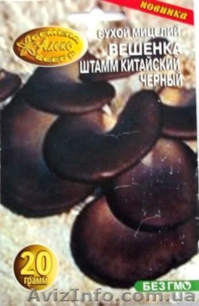 мицелий грибов вешенки порошковый - <ro>Изображение</ro><ru>Изображение</ru> #3, <ru>Объявление</ru> #301875