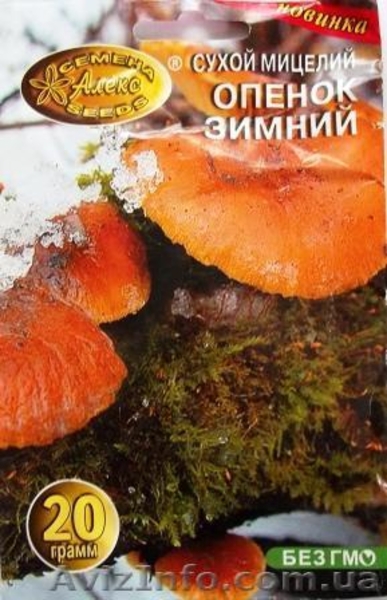 мицелий опят порошковый - <ro>Изображение</ro><ru>Изображение</ru> #1, <ru>Объявление</ru> #718507