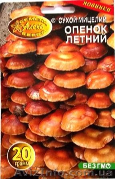 мицелий опят порошковый - <ro>Изображение</ro><ru>Изображение</ru> #4, <ru>Объявление</ru> #718507