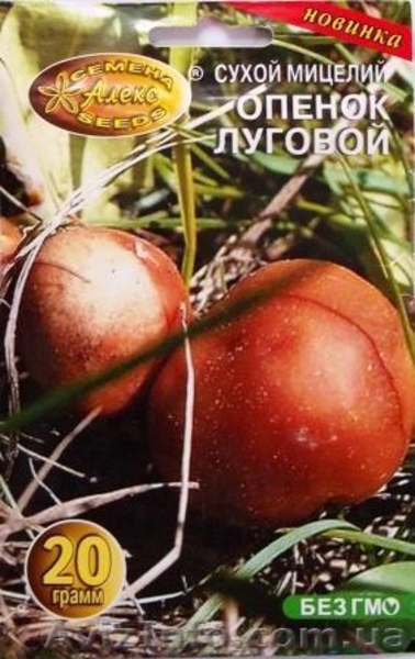 мицелий опят порошковый - <ro>Изображение</ro><ru>Изображение</ru> #5, <ru>Объявление</ru> #718507