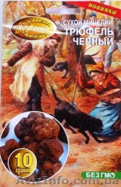 мицелий грибов порошковый - <ro>Изображение</ro><ru>Изображение</ru> #5, <ru>Объявление</ru> #462072