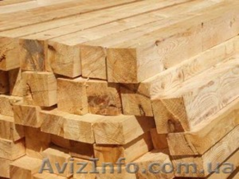 Лиственница сибирская Житомир Украина - <ro>Изображение</ro><ru>Изображение</ru> #6, <ru>Объявление</ru> #153186