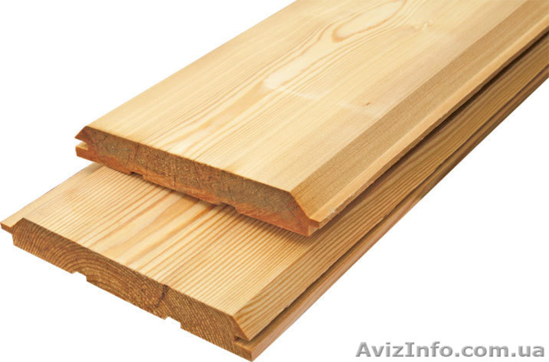 Лиственница сибирская Житомир Украина - <ro>Изображение</ro><ru>Изображение</ru> #5, <ru>Объявление</ru> #153186