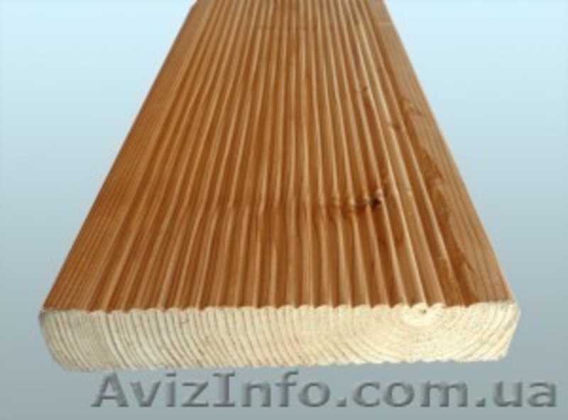 Лиственница сибирская Житомир Украина - <ro>Изображение</ro><ru>Изображение</ru> #3, <ru>Объявление</ru> #153186