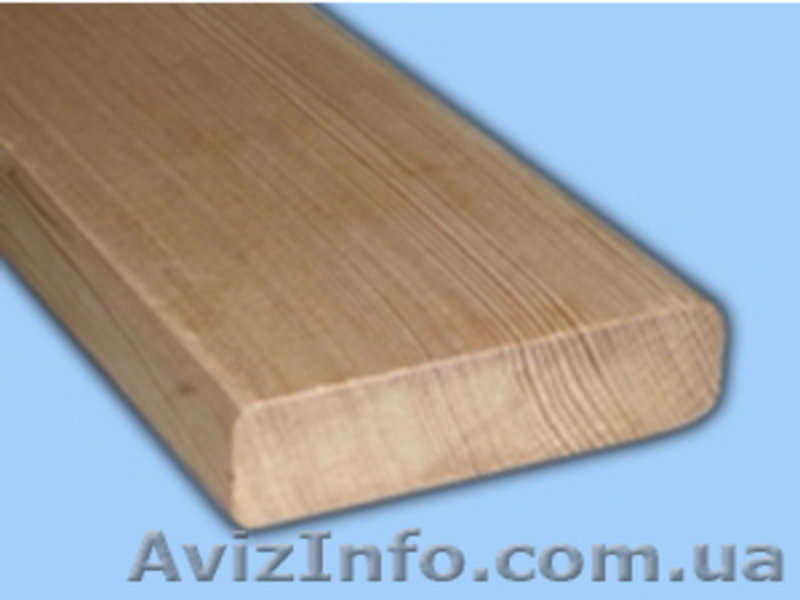 Лиственница сибирская Житомир Украина - <ro>Изображение</ro><ru>Изображение</ru> #4, <ru>Объявление</ru> #153186