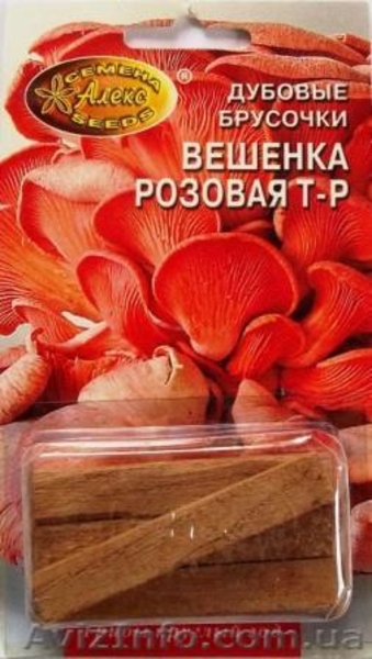 мицелий грибов на брусочках - <ro>Изображение</ro><ru>Изображение</ru> #1, <ru>Объявление</ru> #309098