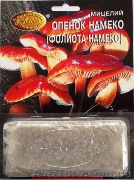 мицелий грибов зерновой биологически высушенный - <ro>Изображение</ro><ru>Изображение</ru> #2, <ru>Объявление</ru> #330210