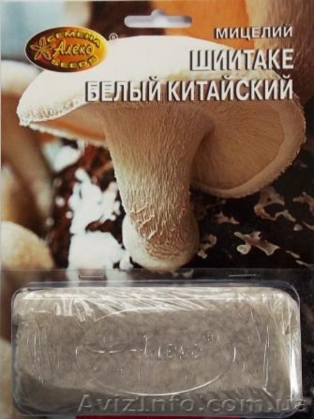 мицелий грибов зерновой биологически высушенный - <ro>Изображение</ro><ru>Изображение</ru> #3, <ru>Объявление</ru> #330210