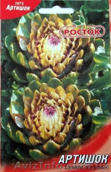 Семена редких культур - <ro>Изображение</ro><ru>Изображение</ru> #4, <ru>Объявление</ru> #355661