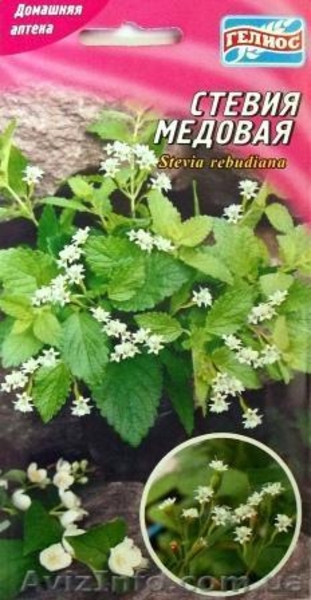 Семена редких культур - <ro>Изображение</ro><ru>Изображение</ru> #9, <ru>Объявление</ru> #355661