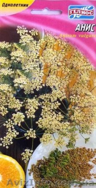 семена лекарственных растений - <ro>Изображение</ro><ru>Изображение</ru> #5, <ru>Объявление</ru> #353454