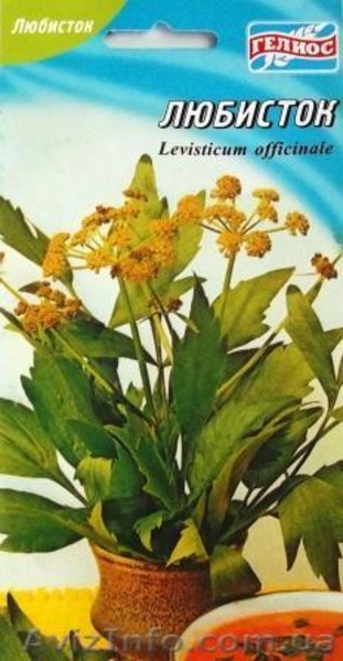 семена лекарственных растений - <ro>Изображение</ro><ru>Изображение</ru> #8, <ru>Объявление</ru> #353454