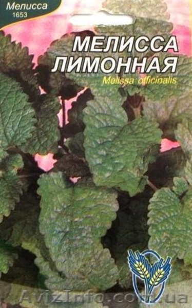 семена лекарственных растений - <ro>Изображение</ro><ru>Изображение</ru> #10, <ru>Объявление</ru> #353454