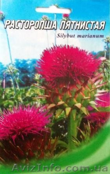 семена лекарственных растений - <ro>Изображение</ro><ru>Изображение</ru> #9, <ru>Объявление</ru> #353454