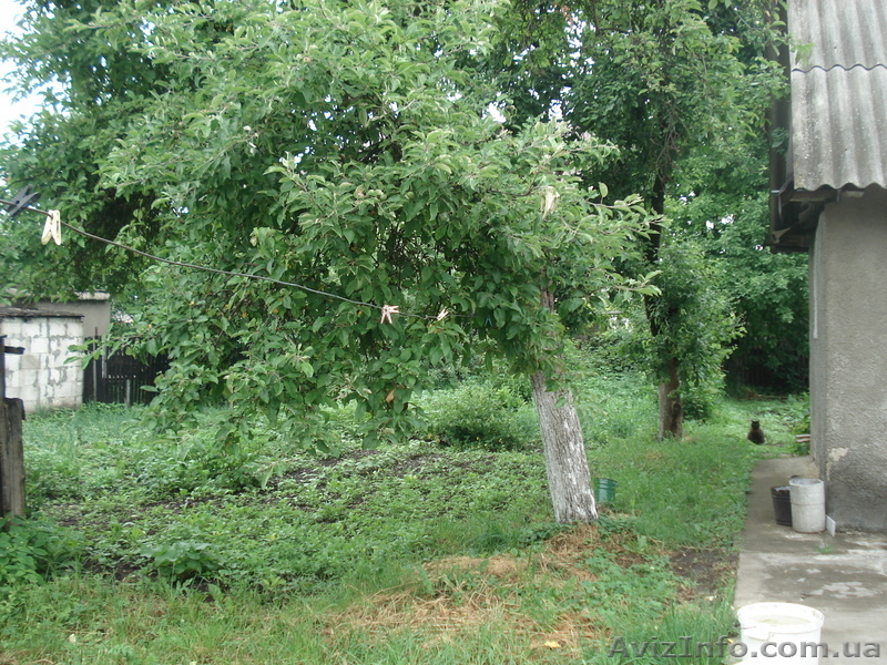 Дом продам в Житомире - <ro>Изображение</ro><ru>Изображение</ru> #6, <ru>Объявление</ru> #897710