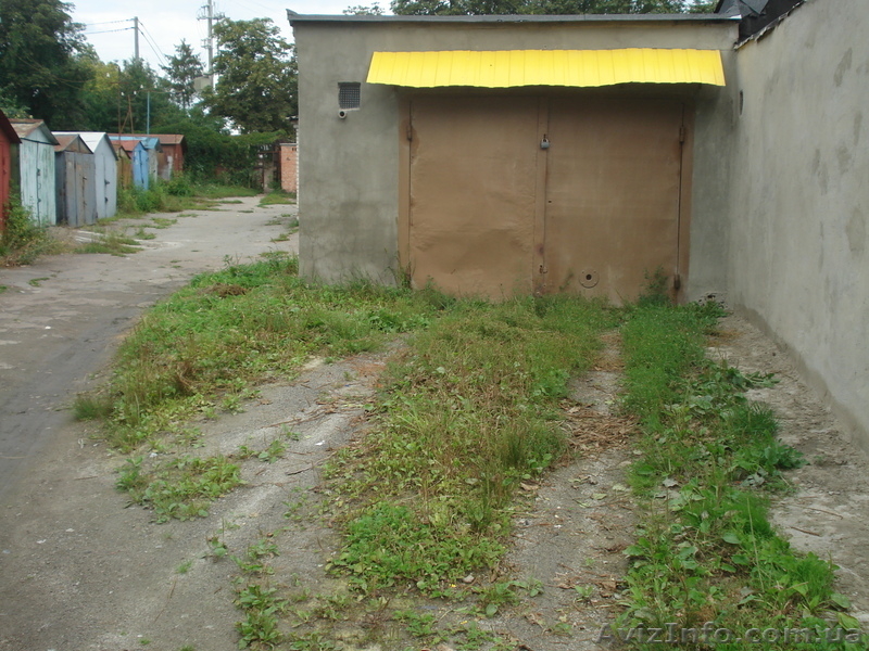 Житомир    Елена - <ro>Изображение</ro><ru>Изображение</ru> #1, <ru>Объявление</ru> #950398