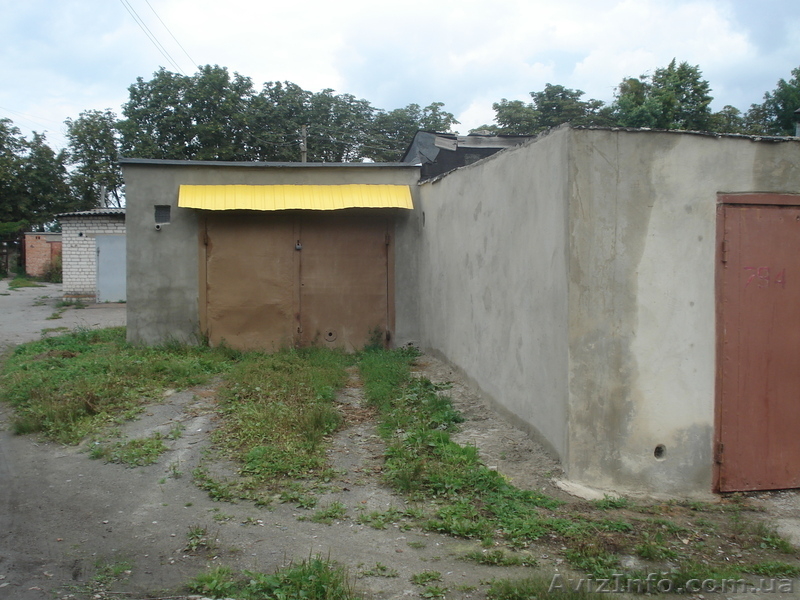 Житомир    Елена - <ro>Изображение</ro><ru>Изображение</ru> #3, <ru>Объявление</ru> #950398