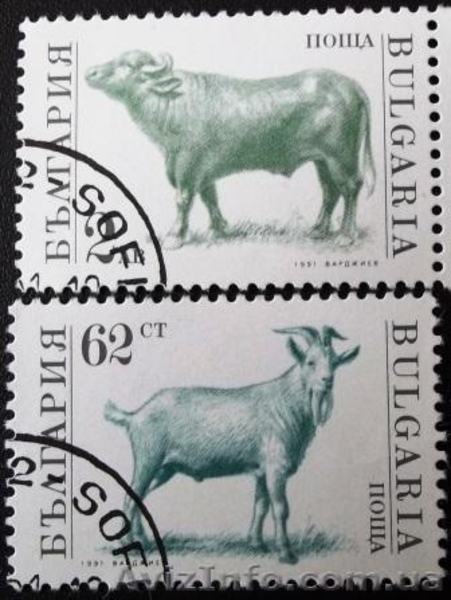 марки Болгарии - фауна - Почтовые марки - <ro>Изображение</ro><ru>Изображение</ru> #3, <ru>Объявление</ru> #993873
