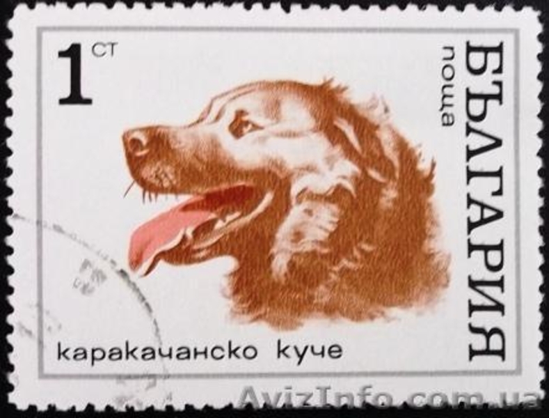 марки Болгарии - фауна - Почтовые марки - <ro>Изображение</ro><ru>Изображение</ru> #8, <ru>Объявление</ru> #993873