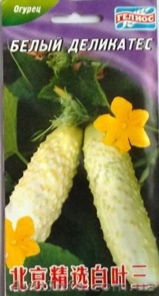 семена огурцов - <ro>Изображение</ro><ru>Изображение</ru> #1, <ru>Объявление</ru> #351492