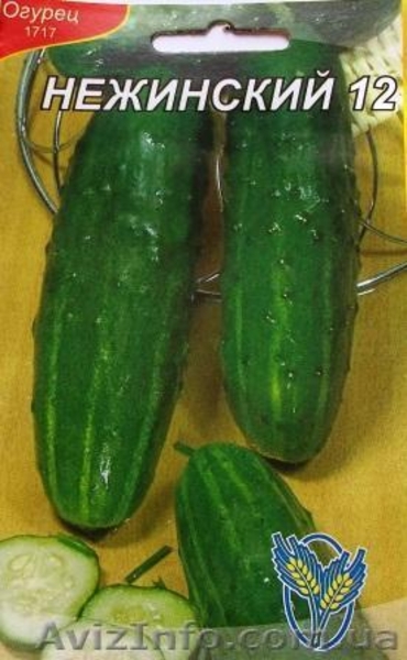 семена огурцов - <ro>Изображение</ro><ru>Изображение</ru> #8, <ru>Объявление</ru> #351492