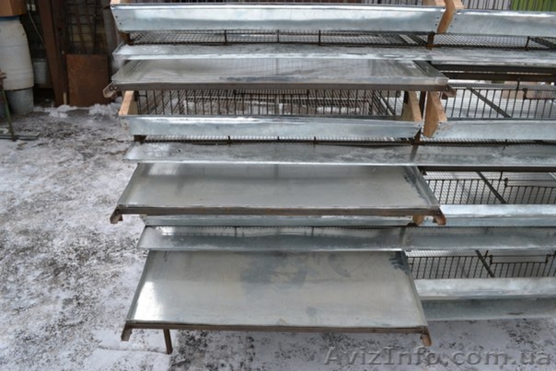 Клетки перепелиные. - <ro>Изображение</ro><ru>Изображение</ru> #3, <ru>Объявление</ru> #1030647