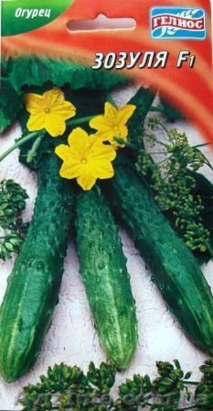 семена огурцов - <ro>Изображение</ro><ru>Изображение</ru> #4, <ru>Объявление</ru> #351492