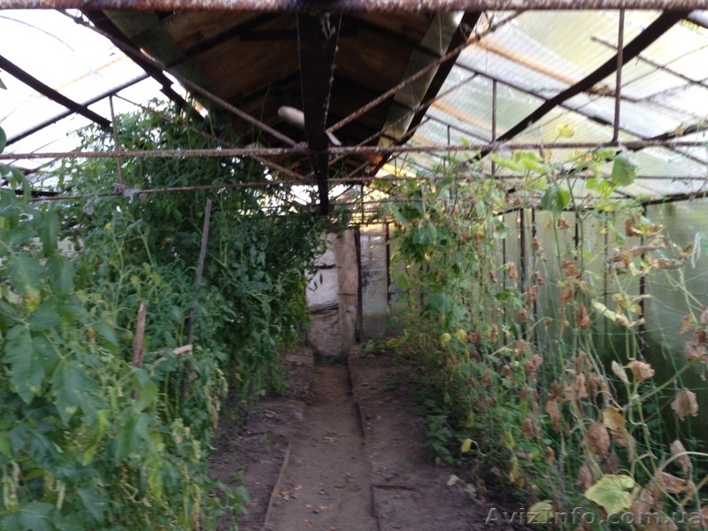 Продам дачу, Буки - <ro>Изображение</ro><ru>Изображение</ru> #8, <ru>Объявление</ru> #1105307