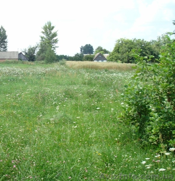 Участок Черняхов - <ro>Изображение</ro><ru>Изображение</ru> #3, <ru>Объявление</ru> #1107769