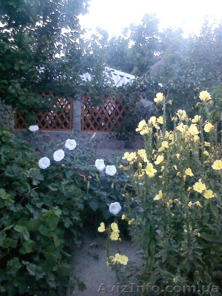 Азов. Генгорка. Отличный отдых от 40 грн. - <ro>Изображение</ro><ru>Изображение</ru> #8, <ru>Объявление</ru> #1126239