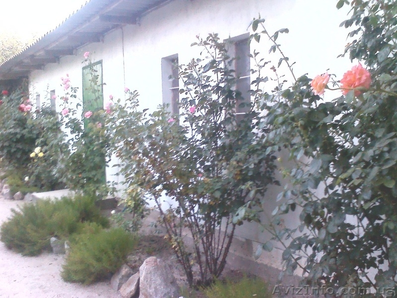 Азов. Генгорка. Отличный отдых от 40 грн. - <ro>Изображение</ro><ru>Изображение</ru> #6, <ru>Объявление</ru> #1126239