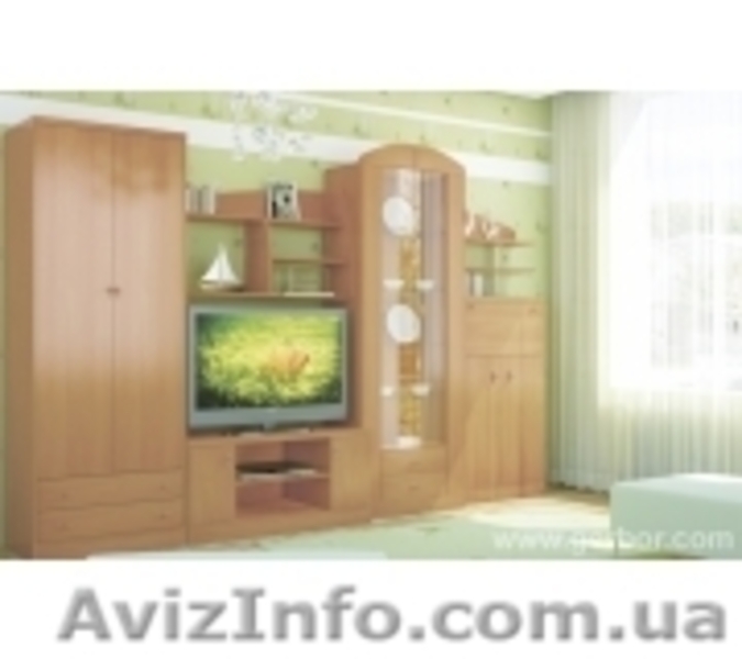 Гостинные,прихожие от БРВ,Гербор. - <ro>Изображение</ro><ru>Изображение</ru> #8, <ru>Объявление</ru> #1123634