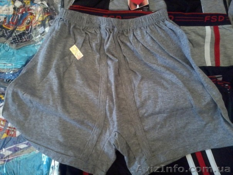 Трусы Трусы хлопковые для армии, боксерки.   - <ro>Изображение</ro><ru>Изображение</ru> #3, <ru>Объявление</ru> #1132801