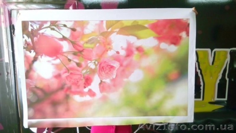 Друк зображень на оракалі, холсті - <ro>Изображение</ro><ru>Изображение</ru> #2, <ru>Объявление</ru> #1253803