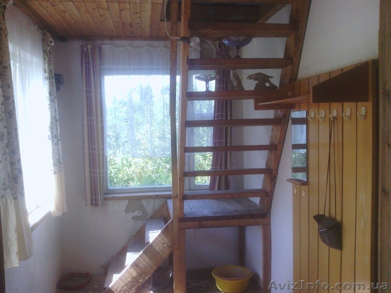 Продам дачу, Житомир, Тетеревский массив   - <ro>Изображение</ro><ru>Изображение</ru> #4, <ru>Объявление</ru> #1261237
