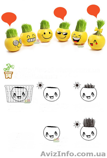 Купить травянчики оптом, травянчик смайлик, купить, травянчик - <ro>Изображение</ro><ru>Изображение</ru> #1, <ru>Объявление</ru> #1288689