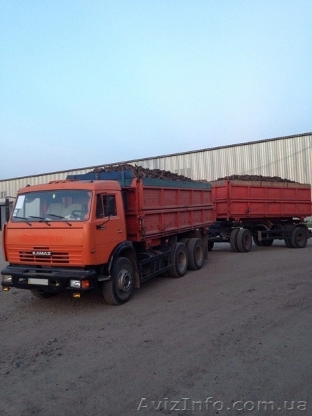 Услуги зерновозов КАМАЗ (самосвалы) - <ro>Изображение</ro><ru>Изображение</ru> #2, <ru>Объявление</ru> #1551015