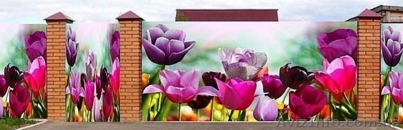 Сетка фото для декора забора беседки альтанки фасада ландшафтный дизай - <ro>Изображение</ro><ru>Изображение</ru> #4, <ru>Объявление</ru> #1567045