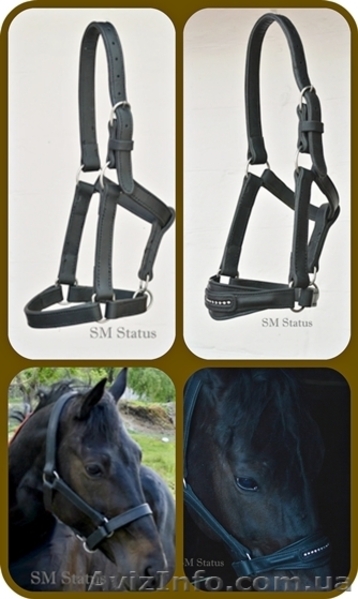 Недоуздки кінні шкіряні - <ro>Изображение</ro><ru>Изображение</ru> #1, <ru>Объявление</ru> #1536759