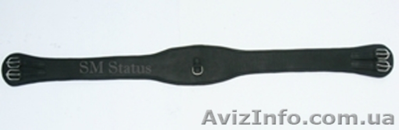 Підпруга кінна шкіряна - <ro>Изображение</ro><ru>Изображение</ru> #1, <ru>Объявление</ru> #1536755