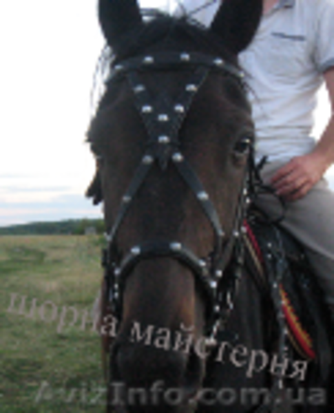 Вуздечки кінні шкіряні - <ro>Изображение</ro><ru>Изображение</ru> #3, <ru>Объявление</ru> #1536757