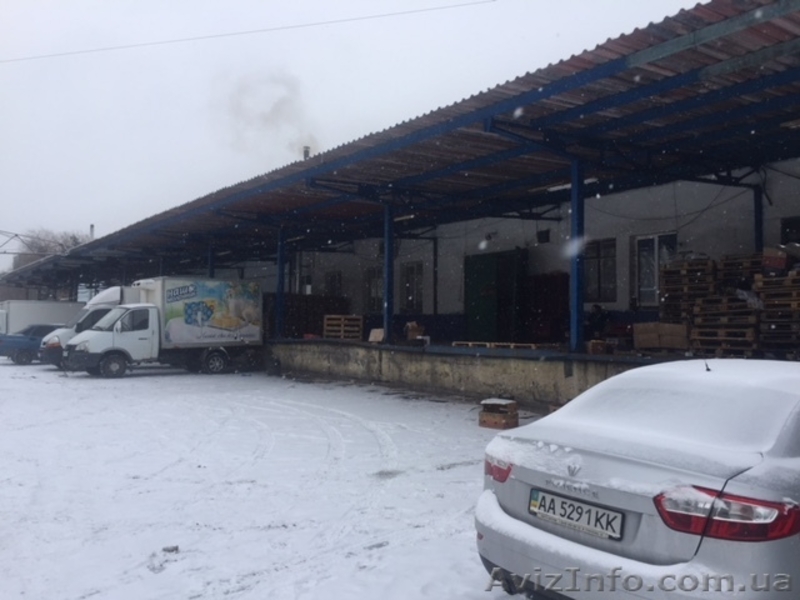 Сдам в оренду холодильні склади ( 0-+5 С) Склади та офіси. - <ro>Изображение</ro><ru>Изображение</ru> #1, <ru>Объявление</ru> #1604731