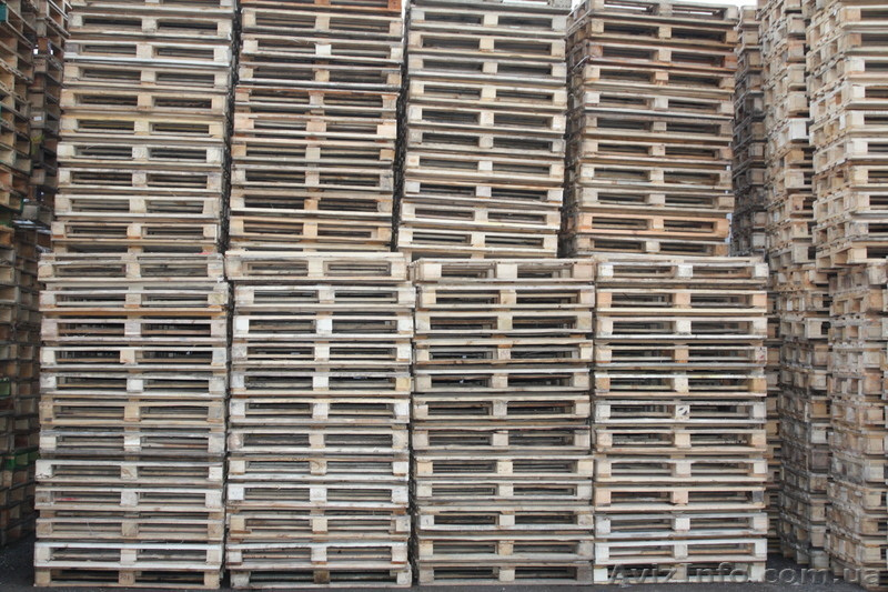 Поддоны, паллеты, европоддоны - Продаем и покупаем! - <ro>Изображение</ro><ru>Изображение</ru> #2, <ru>Объявление</ru> #1253583