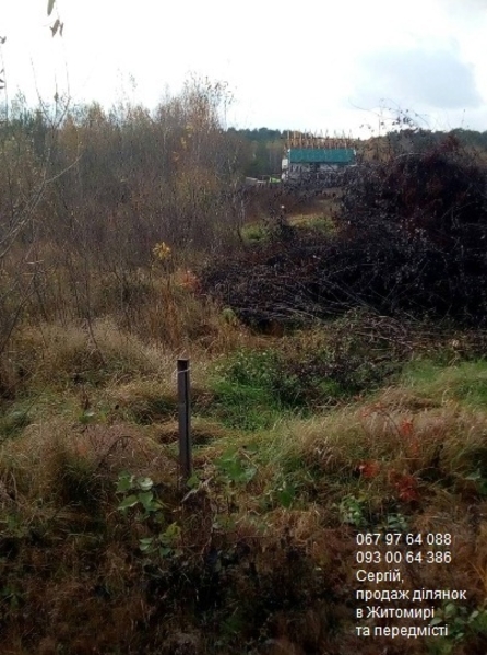 Продаж ділянки біля річки, перша лінія, с Тетерівка  - <ro>Изображение</ro><ru>Изображение</ru> #2, <ru>Объявление</ru> #1644781