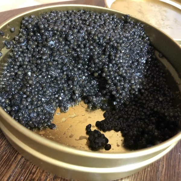 Икра стерляди. Икра осетровая. Тушки осетра. - <ro>Изображение</ro><ru>Изображение</ru> #1, <ru>Объявление</ru> #1711513